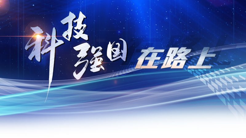 揭秘上海数据服务公司排名背后的考量因素
