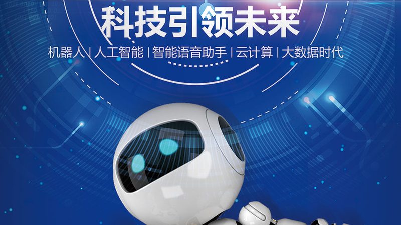 定制化与标准化：教育机构数字化解决方案的差异化选择**